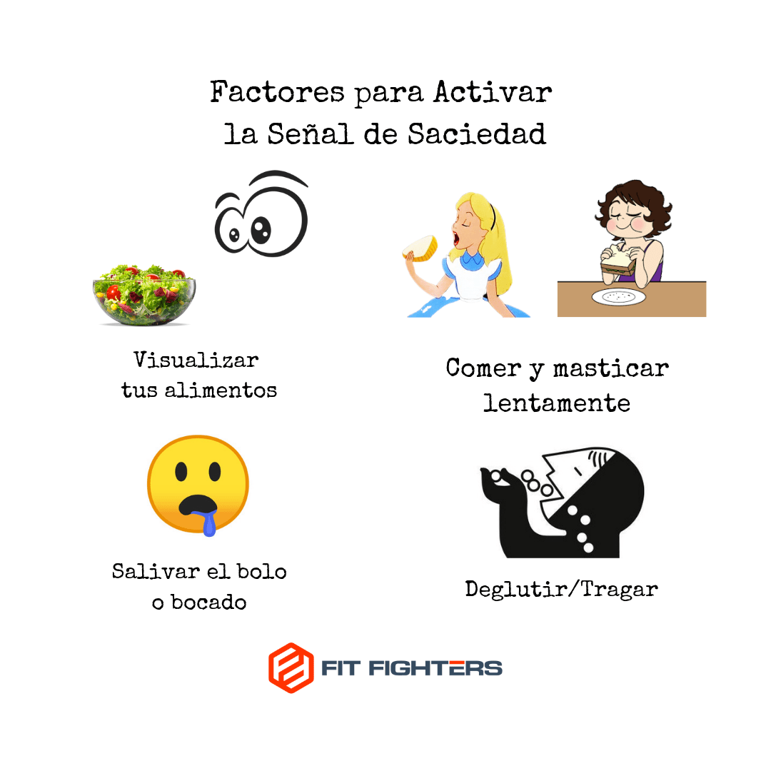 Dieta de las 3 horas: ¿es necesario comer cada poco tiempo para adelgazar?